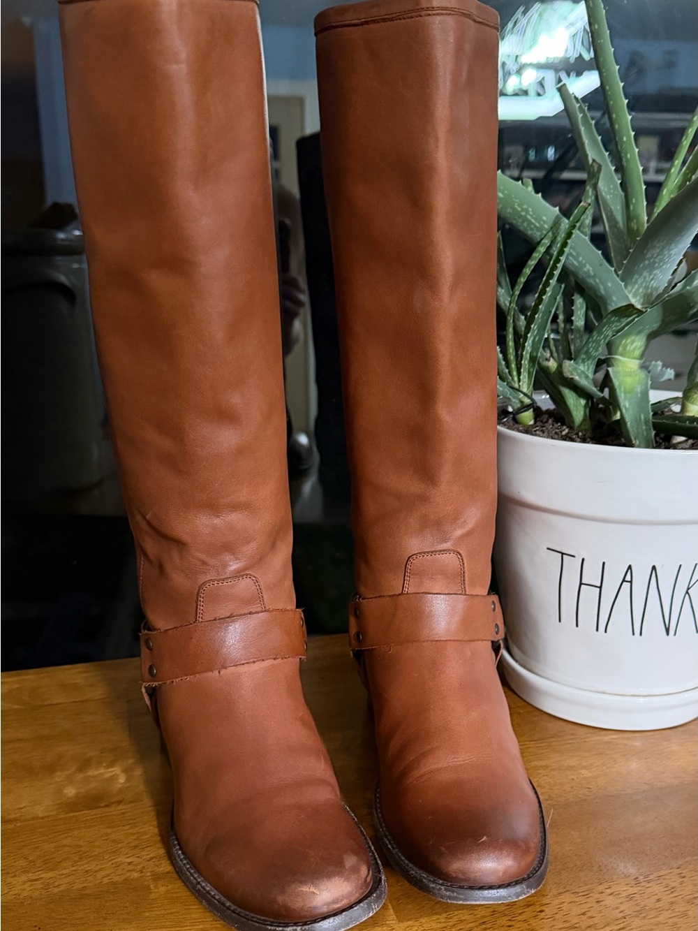 Frye Classic Tall Leather Riding Boots Phillip - Brown Cognac Women’s Size 7